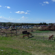 Image for article titled Help Us Spot the Incredible Cars in This Kansas Junkyard